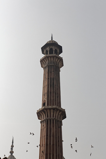 Delhi-Grande mosquée-024